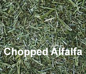 Chopped Alfalfa